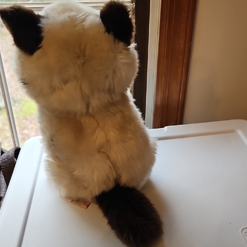 GUND Grumpy Cat - Picture 6 of 6